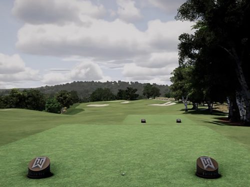 Bildergalerie_Wald_1