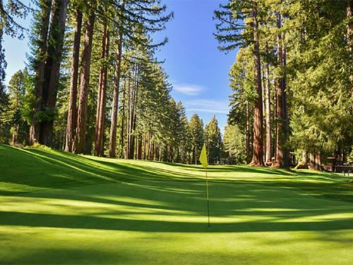 Bildergalerie_Wald_4